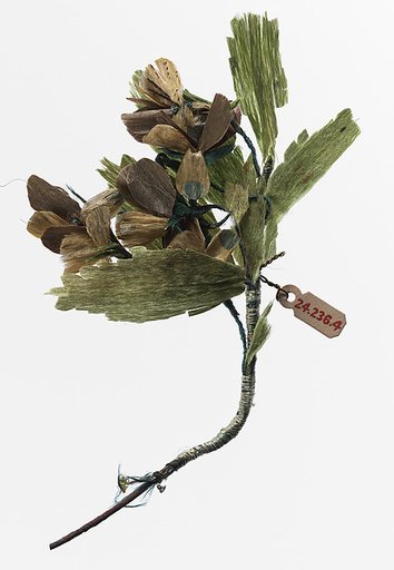 Boutonnière