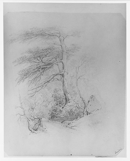 Landscape (from McGuire Scrapbook)