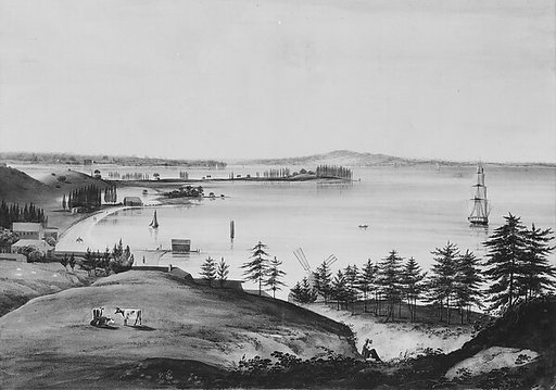 The Bay of New York Looking to the Narrows and Staten Island, Taken from Brooklyn Heights