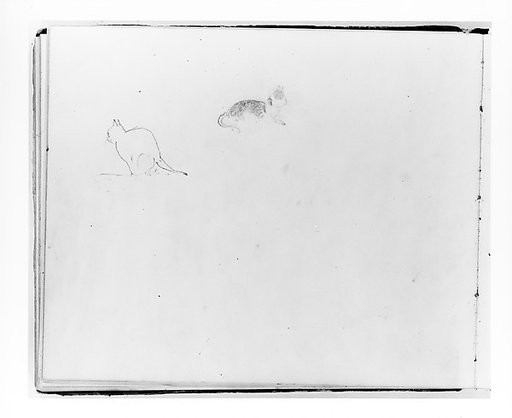 Two Cats (from Sketchbook)