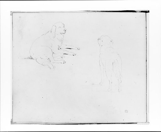 Two Studies of a Dog: Lying Down and Rear View Standing (from Sketchbook)