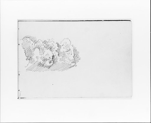 Sketch of Trees (Clouds?) (from Sketchbook VII)