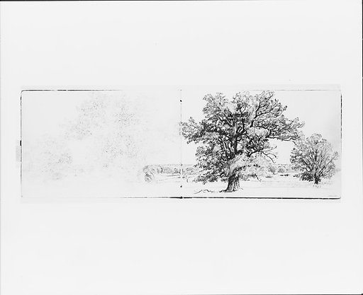 Trees and Distant Landscape (from Sketchbook VII)