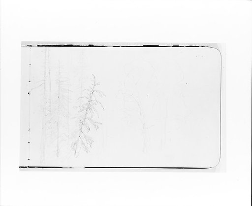 Tree Landscape (from Sketchbook)