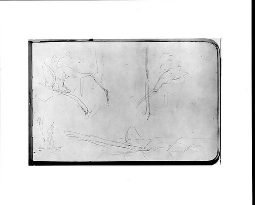 Sketches of Trees (from Sketchbook)