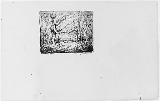 Trees in a Forest (from Sketchbook)