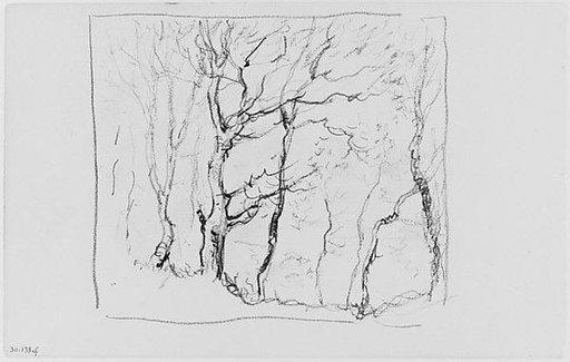 Trees (from Sketchbook)