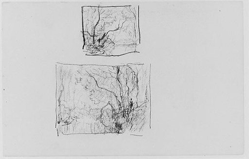 Two Sketches of Trees (from Sketchbook)