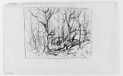 Study of Forrest (from Sketchbook)
