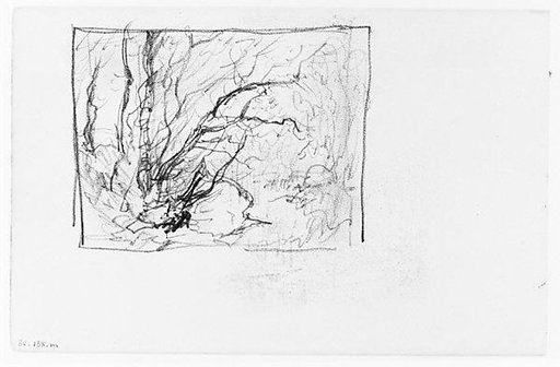 Trees in Wood (from Sketchbook)