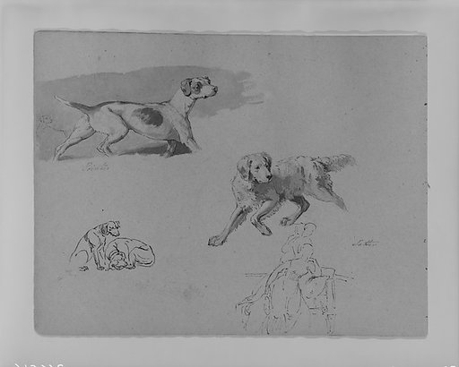 Five Dogs; Two Figures (from Sketchbook)