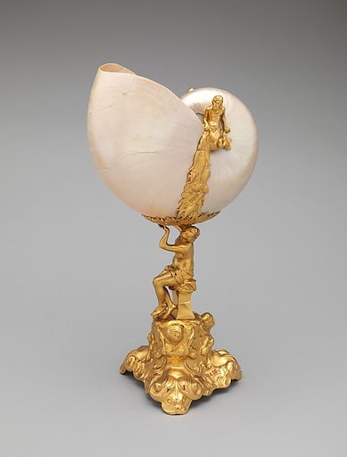 Nautilus shell