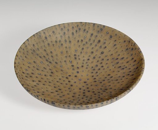 Dish