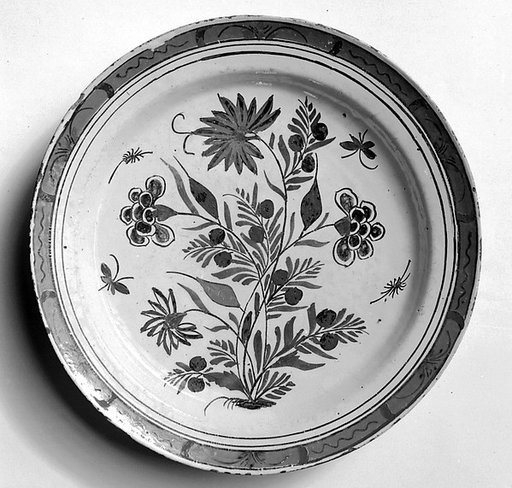 Dish