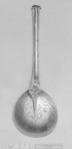 Medicine spoon (?)