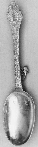 Split-top spoon with case