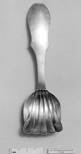 Caddy spoon