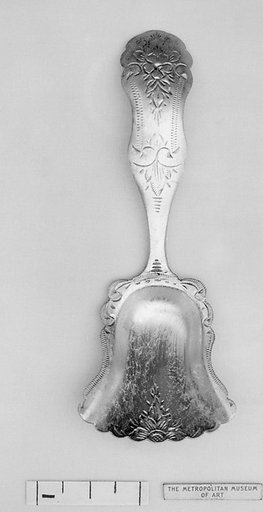 Caddy spoon