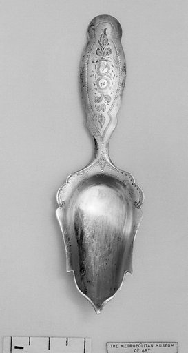 Caddy spoon