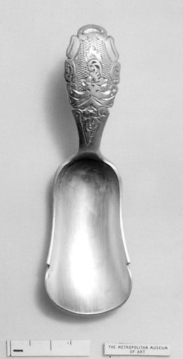 Caddy spoon