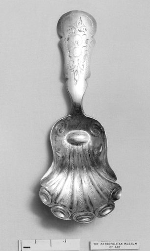 Caddy spoon