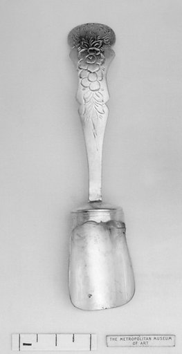 Caddy spoon