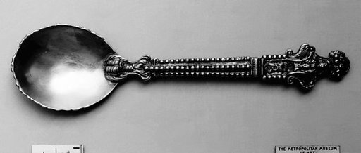 Spoon