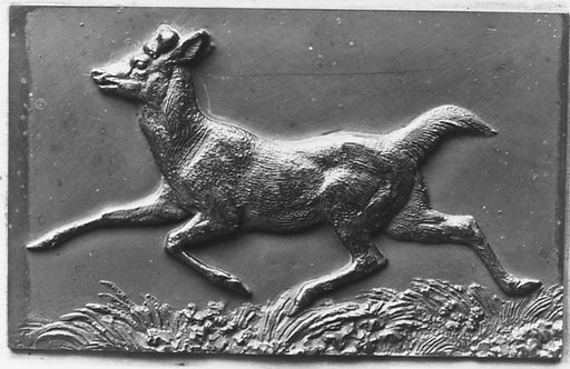 Virginia Stag