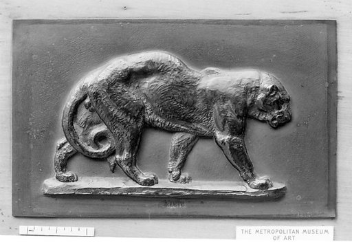 Panther Walking