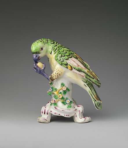 Parrot