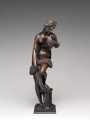 Bathing Venus