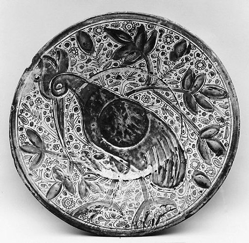 Dish