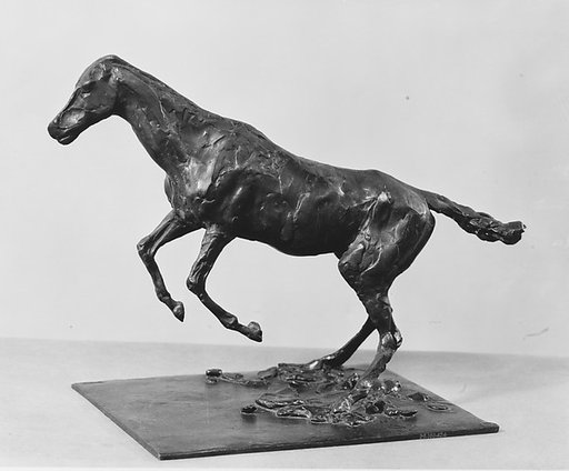 Horse Balking