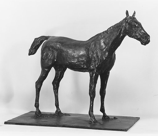 Horse Standing