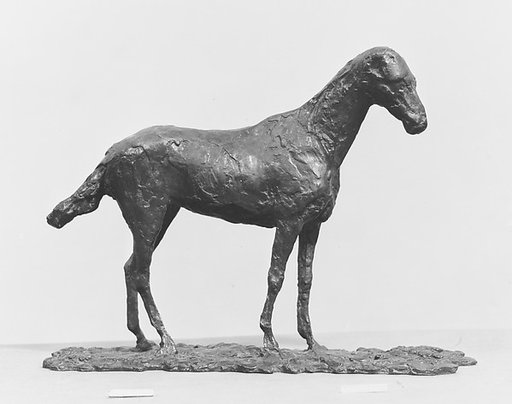 Study of a Mustang
