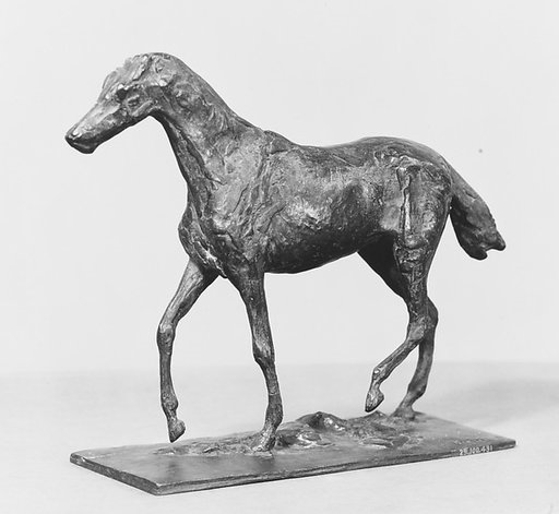 Horse Walking