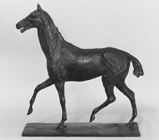 Horse Walking
