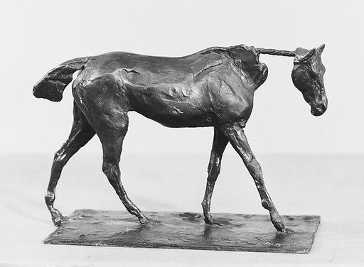 Thoroughbred Horse Walking