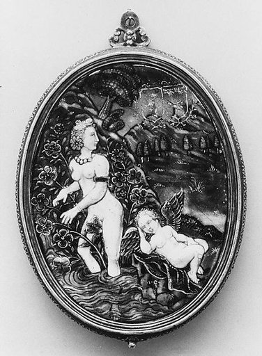 Venus and the Rose