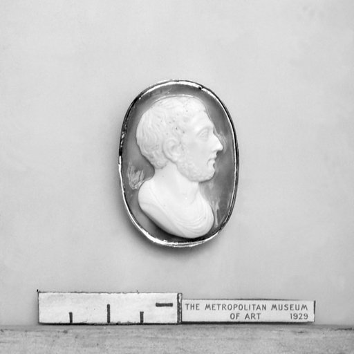 Head of a Roman