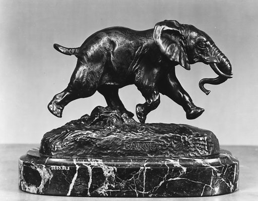 Senegalese Elephant