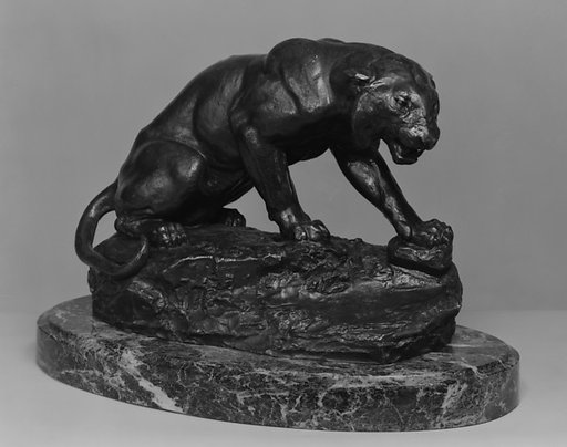 Snarling Tiger