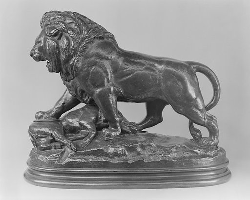 Lion Attacking a Boar