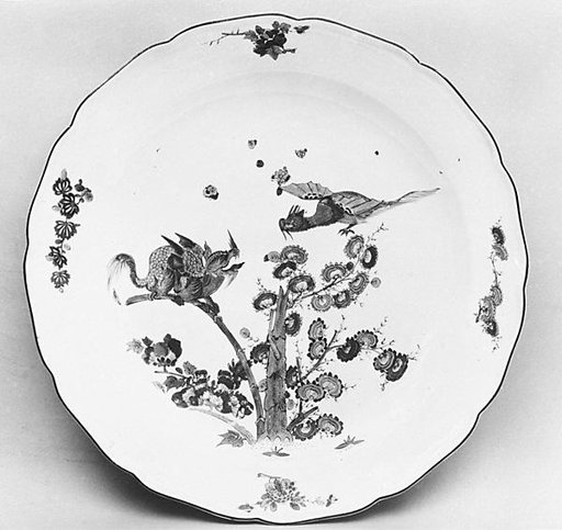 Dish