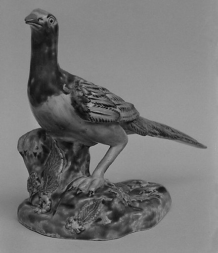 Pheasant