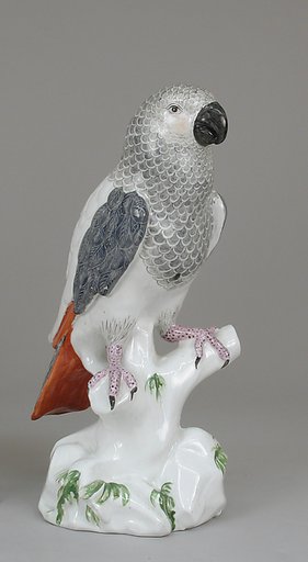 Parrot