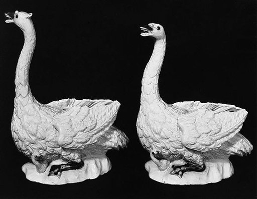 Pair of swans