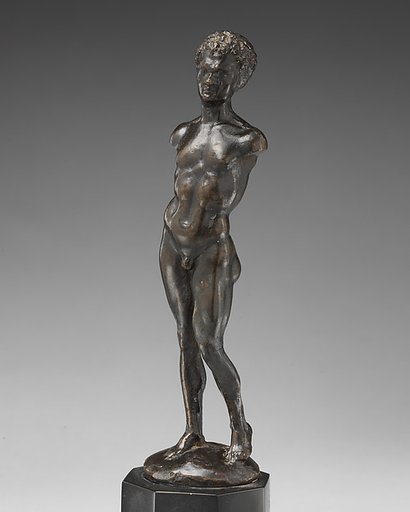 Male Torso