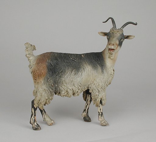 Female adult goat