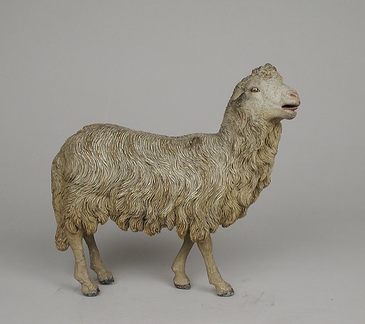 Standing sheep